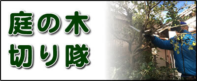 【便利屋】暮らしなんでもお助け隊 福岡六本松店にて何でも屋・便利屋サービス「庭の木切り隊」は、遠く離れた福岡のご実家が空き家となり、お庭でボウボウに伸びた庭木の伐採、庭木の剪定を行っています。さらに庭にある倉庫の片付けなども行っています。その他、福岡のご実家・ご両親の心配事・お困り事何でも解決しています。ご相談ください。